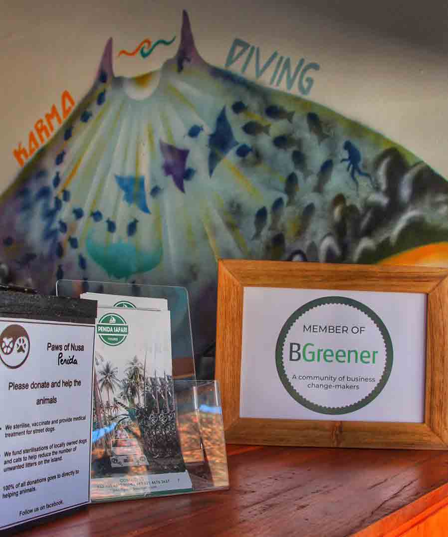 Vacances Plongée environnement eco responsable plongee Nusa Penida Bali Indonésie Indonesie