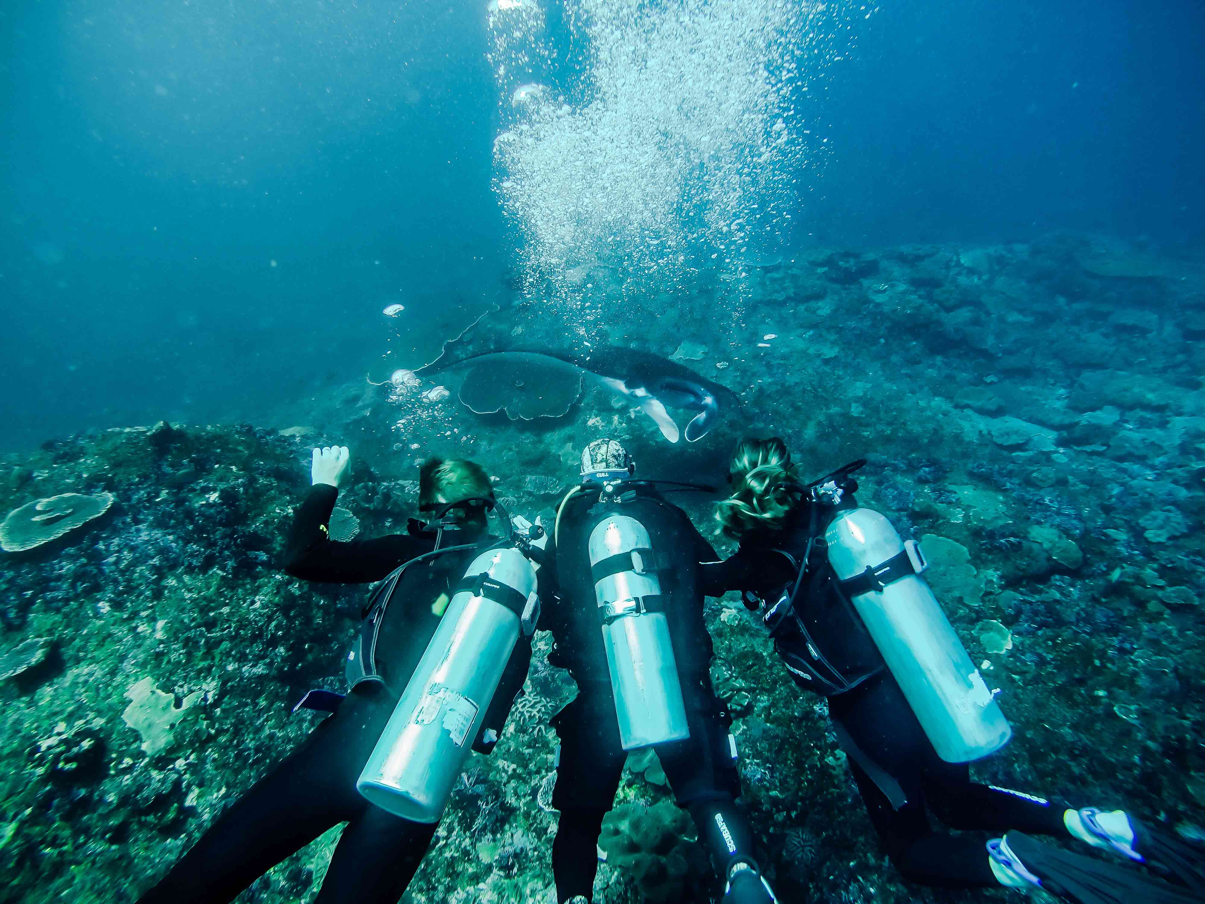 holiday discover diving dive yoga bali nusa penida indonesia ssi padi