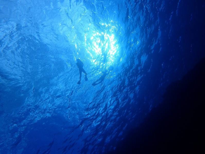  holiday snorkeling certification diving dive yoga bali nusa penida indonesia ssi padi