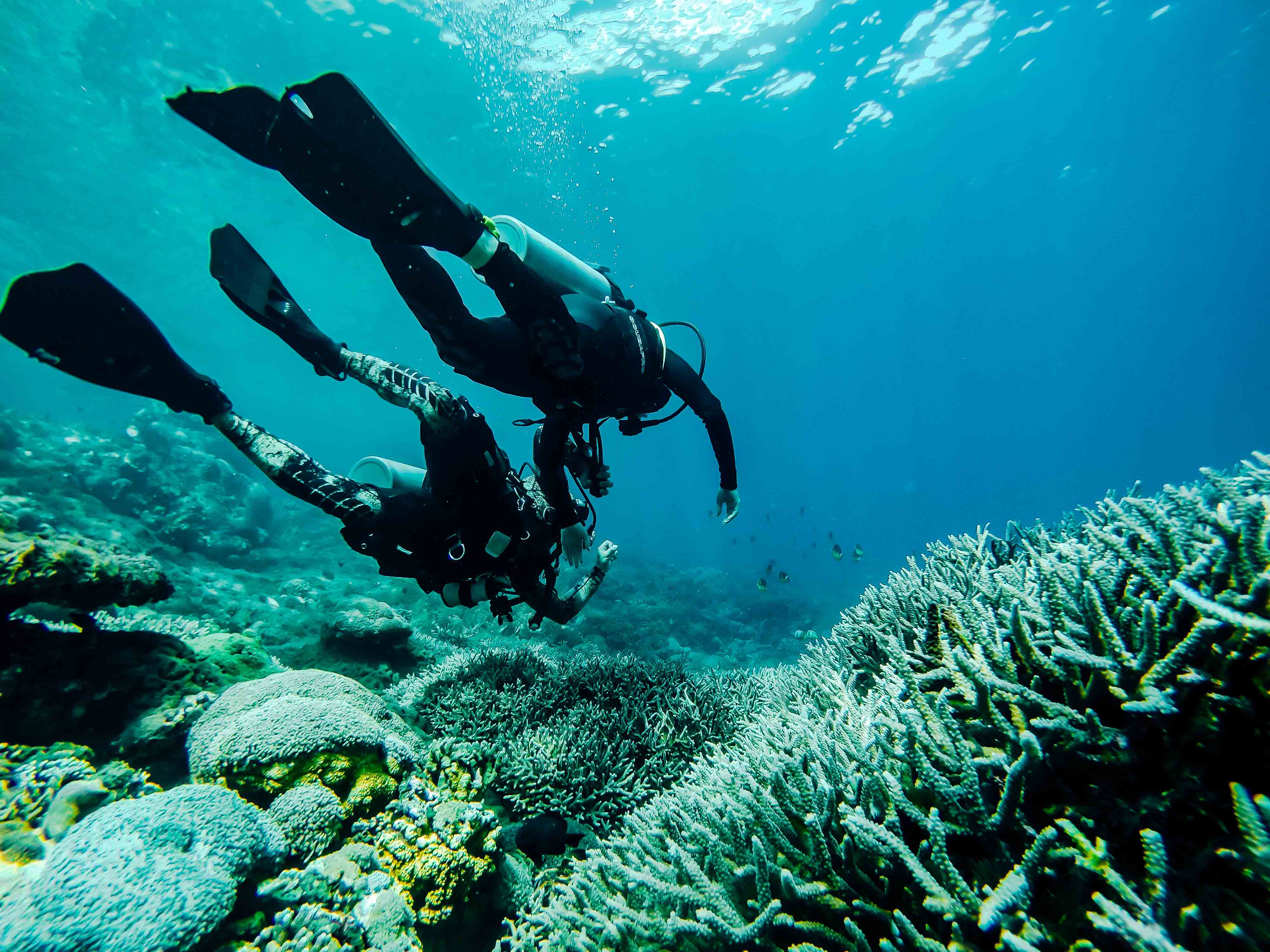 holiday fun dive diving dive yoga bali nusa penida indonesia ssi padi