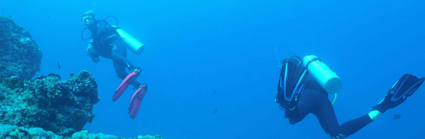 holiday diving dive yoga bali nusa penida indonesia ssi padi 