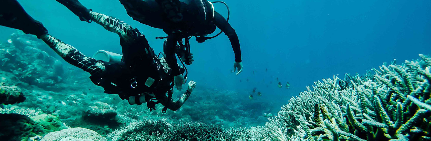 holiday diving dive yoga bali nusa penida indonesia ssi padi 
