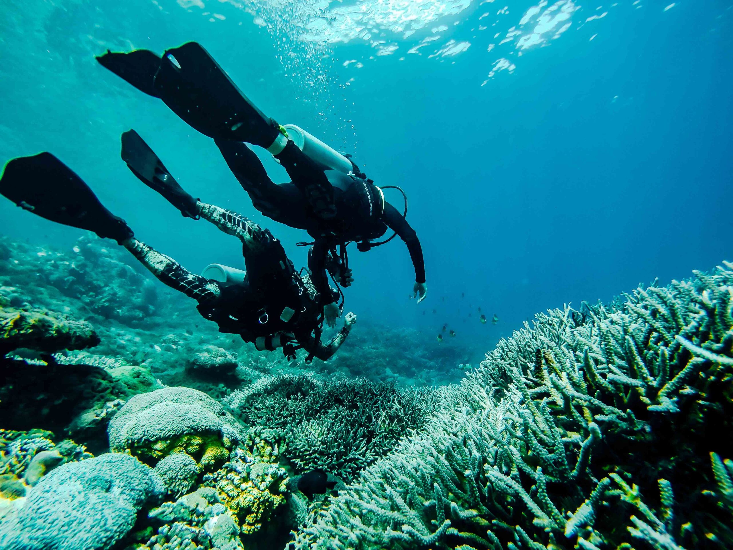 Crystal Bay Dive