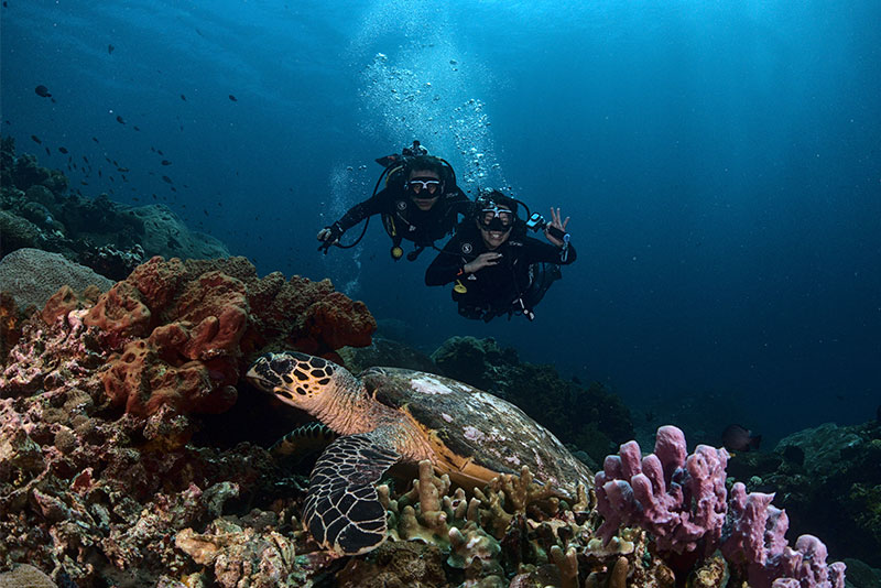 Fundive Nusa 1