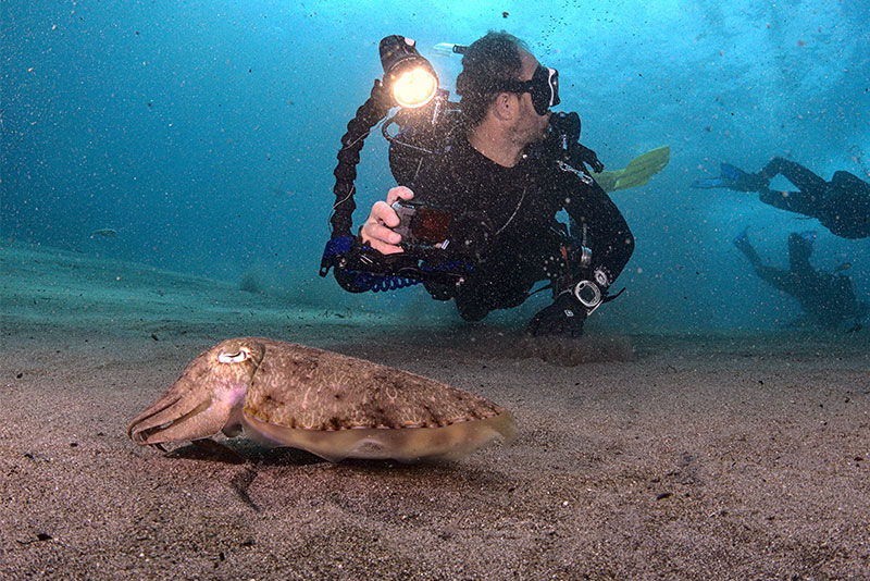 Fundive Nusa 5