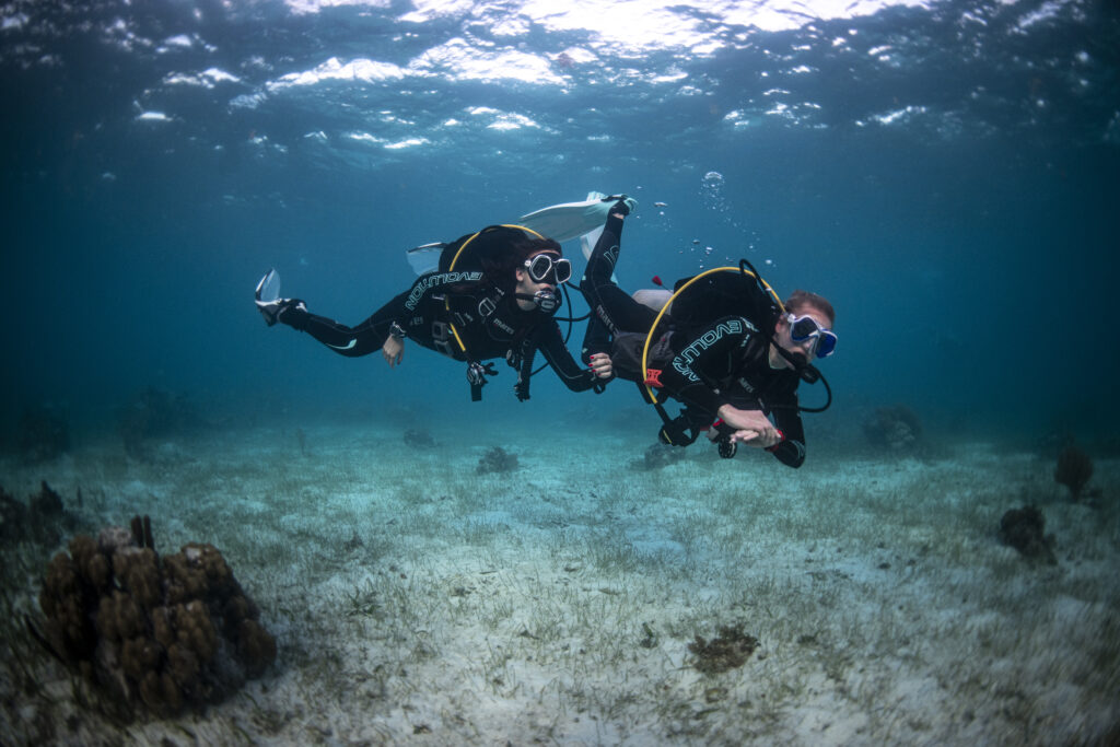 Dive Image-5