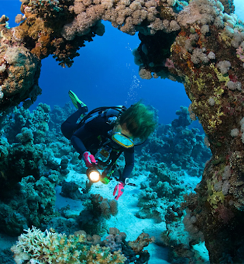 advancedadventurer_nusa_diving_1