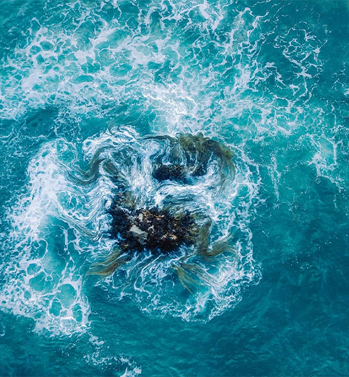 wavetidescurrents_SSI_nusa_diving_2