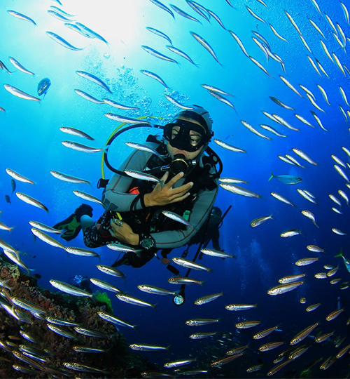 wavetidescurrents_SSI_nusa_diving_3