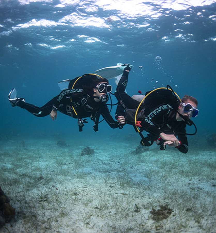 Services Diving Karma Nusa Penida